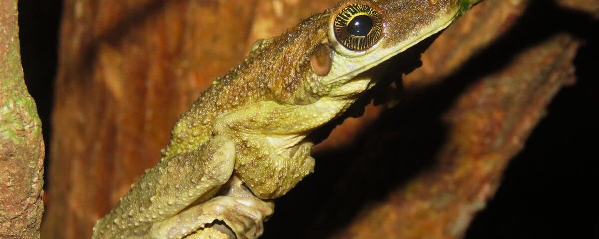 découvrez les bienfaits de la décompression vertébrale, une méthode innovante pour soulager les douleurs dorsales, améliorer votre bien-être et retrouver votre mobilité. explorez nos solutions adaptées pour une santé vertébrale optimale.