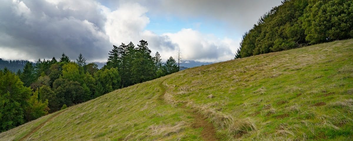 découvrez les solutions non chirurgicales pour améliorer votre apparence et votre bien-être. des traitements efficaces et sûrs, sans anesthésie, pour un résultat naturel qui vous séduira.