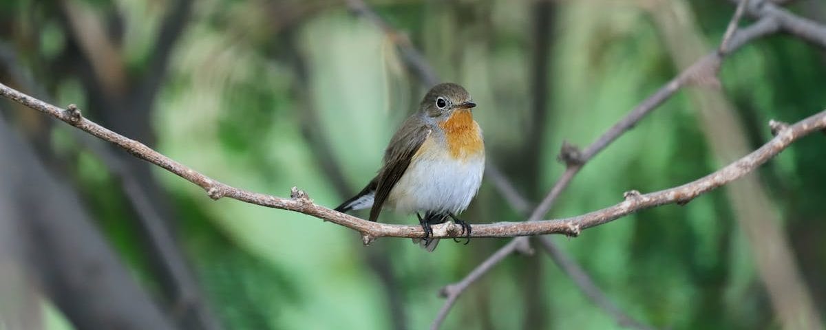 découvrez des solutions non chirurgicales innovantes pour améliorer votre bien-être et votre apparence. explorez des traitements efficaces et sûrs sans les risques associés à la chirurgie.