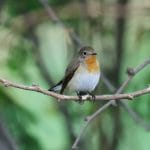 découvrez des solutions non chirurgicales innovantes pour améliorer votre bien-être et votre apparence. explorez des traitements efficaces et sûrs sans les risques associés à la chirurgie.