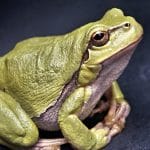 découvrez la décompression vertébrale, une méthode thérapeutique innovante visant à soulager les douleurs dorsales et à améliorer la santé de votre colonne vertébrale. apprenez comment cette technique ciblée peut réduire la pression sur les disques vertébraux et favoriser une meilleure qualité de vie.