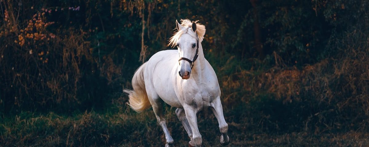 découvrez les bienfaits de la décompression vertébrale, une technique innovante visant à soulager les douleurs lombaires et cervicales, à améliorer la posture et à favoriser une meilleure santé de la colonne vertébrale. transformez votre bien-être dès aujourd'hui!
