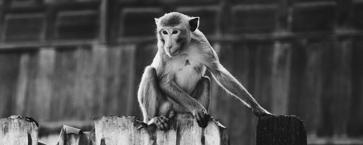 découvrez les bienfaits de la décompression vertébrale, une méthode innovante pour soulager les douleurs dorsales et améliorer la mobilité. apprenez comment cette technique peut aider à réduire la pression sur les disques intervertébraux et favoriser la guérison naturelle de la colonne vertébrale.