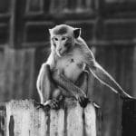 découvrez les bienfaits de la décompression vertébrale, une méthode innovante pour soulager les douleurs dorsales et améliorer la mobilité. apprenez comment cette technique peut aider à réduire la pression sur les disques intervertébraux et favoriser la guérison naturelle de la colonne vertébrale.