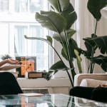 découvrez la thérapie par ondes de choc, une méthode innovante et non invasive pour traiter la douleur musculaire et squelettique. idéale pour favoriser la guérison, améliorer la circulation et réduire les tensions, cette approche thérapeutique est utilisée par de nombreux professionnels de santé. transformez votre bien-être grâce à cette technique efficace et apprenez comment elle peut vous aider à retrouver votre mobilité.