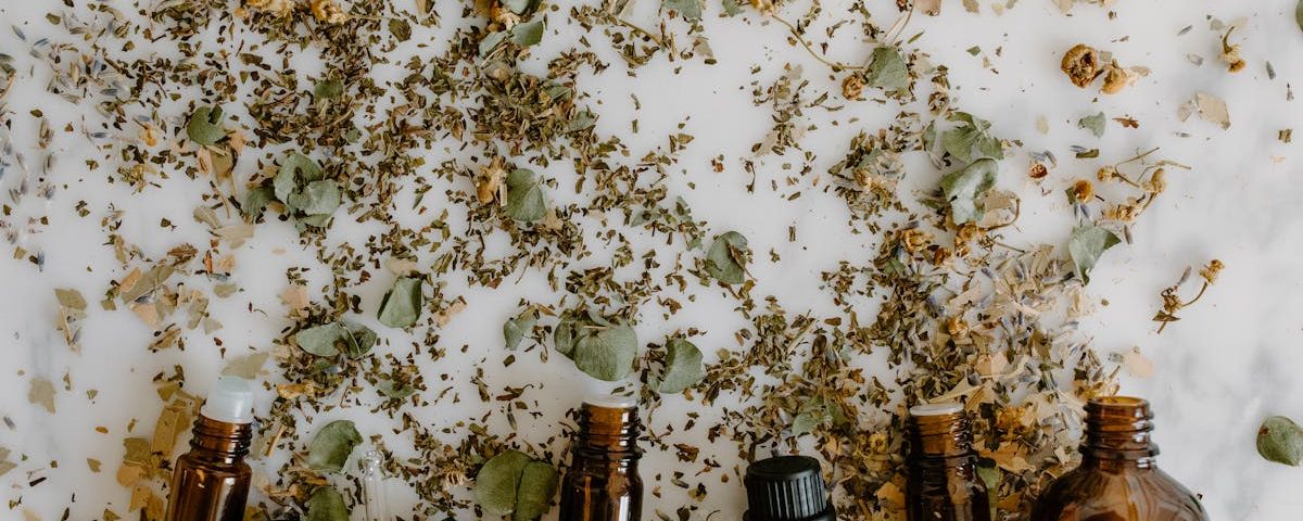 découvrez des traitements alternatifs innovants et naturels pour améliorer votre bien-être. explorez les options qui s'offrent à vous pour compléter les soins traditionnels et adopter une approche holistique de la santé.