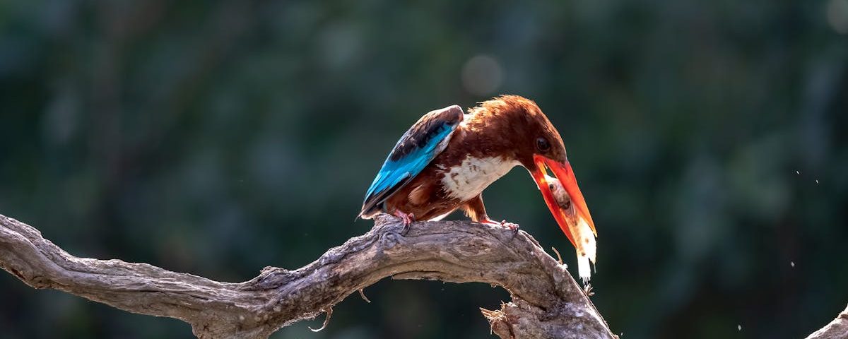 découvrez la décompression vertébrale, une méthode efficace pour soulager les douleurs du dos et améliorer la mobilité. apprenez comment cette technique peut aider à traiter les hernies discales et d'autres problèmes de colonne vertébrale.