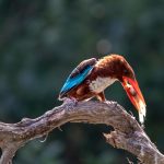 découvrez la décompression vertébrale, une méthode efficace pour soulager les douleurs du dos et améliorer la mobilité. apprenez comment cette technique peut aider à traiter les hernies discales et d'autres problèmes de colonne vertébrale.