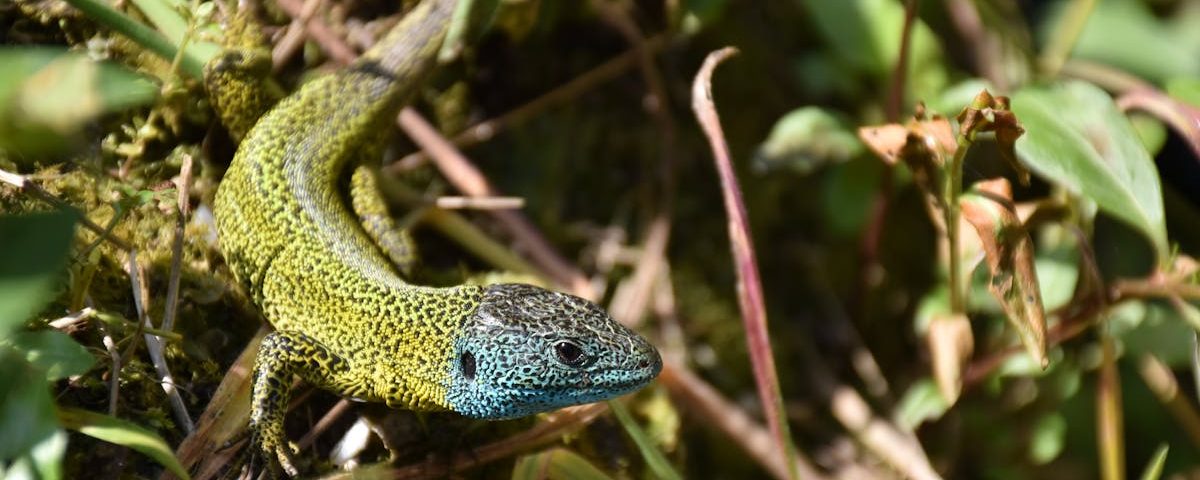 découvrez comment la décompression vertébrale peut soulager vos douleurs dorsales, améliorer votre posture et favoriser votre bien-être général grâce à des techniques efficaces et non invasives.