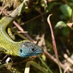 découvrez comment la décompression vertébrale peut soulager vos douleurs dorsales, améliorer votre posture et favoriser votre bien-être général grâce à des techniques efficaces et non invasives.