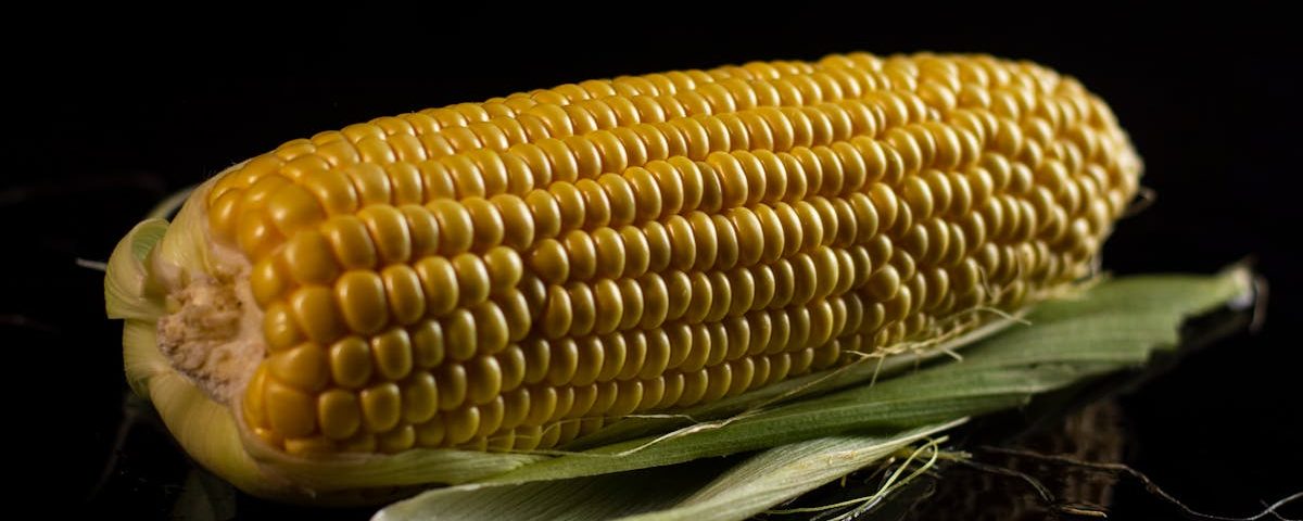 découvrez comment les ajustements nutritionnels peuvent transformer votre santé et votre bien-être. apprenez des conseils pratiques pour optimiser votre alimentation et atteindre vos objectifs nutritionnels de manière équilibrée et agréable.