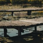 découvrez la décompression spinale, une thérapie innovante visant à soulager les douleurs dorsales et à améliorer votre qualité de vie. apprenez-en plus sur les techniques et les bénéfices de ce traitement non invasif.