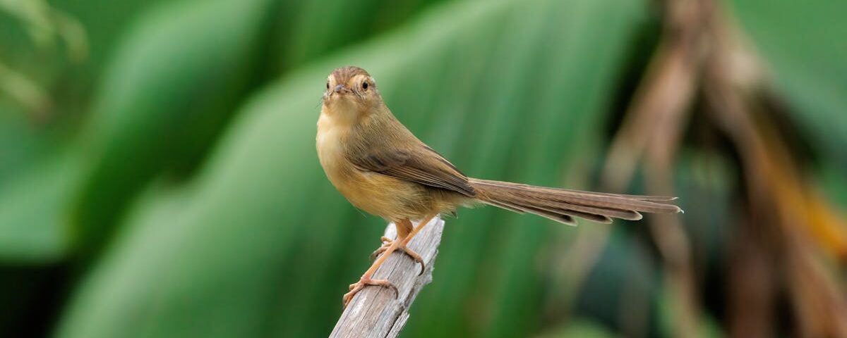 découvrez les bienfaits de la décompression vertébrale, une approche thérapeutique efficace pour soulager les douleurs dorsales, améliorer la posture et favoriser le bien-être général. apprenez comment cette méthode peut transformer votre qualité de vie.