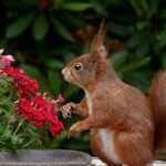 découvrez les bienfaits de la décompression vertébrale, une technique efficace pour soulager les douleurs dorsales et améliorer la posture. apprenez comment cette méthode thérapeutique peut favoriser la guérison des disques intervertébraux et optimiser votre bien-être.