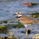 découvrez les bienfaits de la décompression vertébrale, une technique efficace pour soulager les douleurs du dos et améliorer la mobilité. explorez nos solutions personnalisées pour un bien-être optimal.