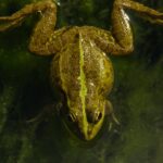 découvrez la décompression vertébrale, une méthode efficace pour soulager les douleurs lombaires et cervicales. apprenez comment ce traitement innovant peut améliorer votre qualité de vie en réduisant la pression sur vos disques intervertébraux et favorisant une meilleure mobilité.