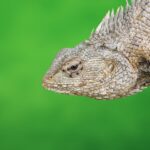 découvrez la décompression vertébrale, une technique thérapeutique innovante visant à soulager les douleurs dorsales et à améliorer la santé de votre colonne vertébrale. apprenez comment cette méthode peut vous aider à retrouver mobilité et bien-être.