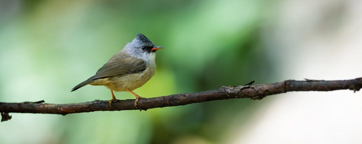 découvrez la décompression vertébrale, une méthode innovante pour soulager les douleurs dorsales et améliorer la santé de votre colonne vertébrale. grâce à des techniques douces et efficaces, retrouvez le bien-être et une meilleure mobilité.