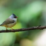 découvrez la décompression vertébrale, une méthode innovante pour soulager les douleurs dorsales et améliorer la santé de votre colonne vertébrale. grâce à des techniques douces et efficaces, retrouvez le bien-être et une meilleure mobilité.