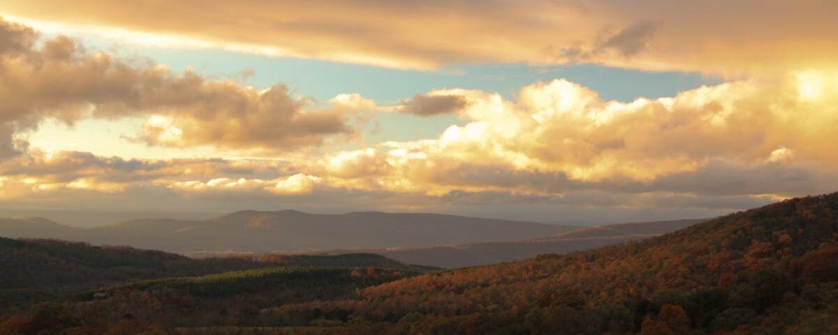 découvrez les bienfaits de la décompression neuro-spinale, une méthode innovante pour soulager la douleur et améliorer la mobilité. cette technique non invasive cible spécifiquement les problèmes de colonne vertébrale, permettant une récupération rapide et un bien-être durable.