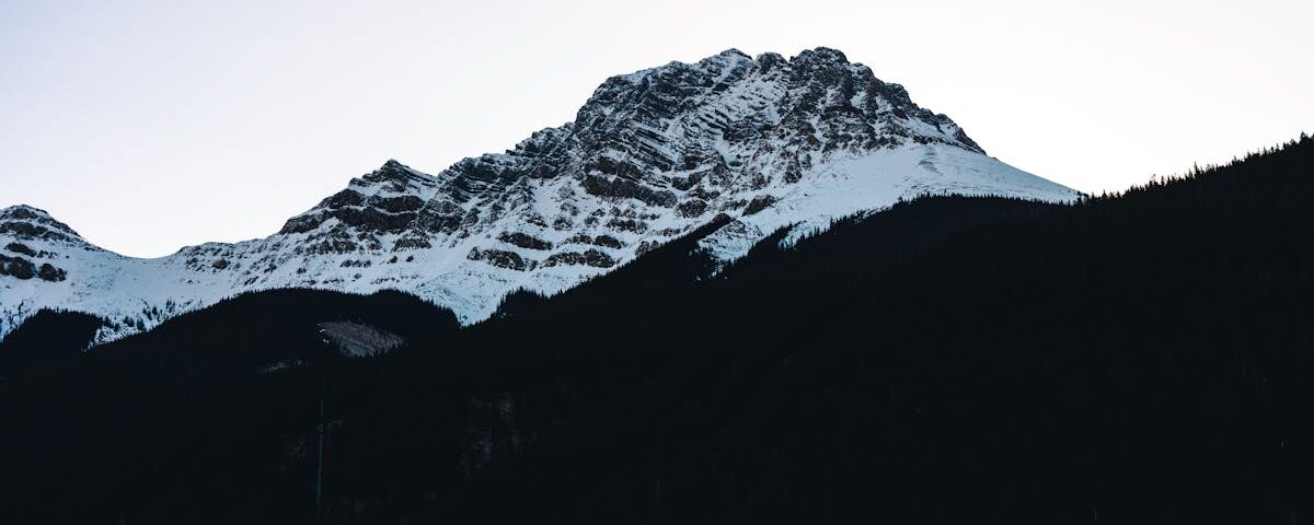 découvrez la décompression neurospinale, une technique innovante pour soulager les douleurs dorsales et cervicales. améliorez votre qualité de vie grâce à des traitements non invasifs qui visent à réduire la pression sur la colonne vertébrale et favoriser la guérison naturelle du corps.