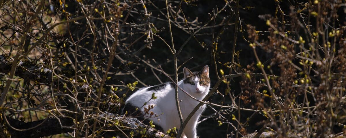 découvrez les bienfaits de la décompression vertébrale, une méthode innovante pour soulager les douleurs dorsales et améliorer votre bien-être. optez pour une approche naturelle et efficace pour retrouver mobilité et confort.