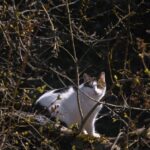 découvrez les bienfaits de la décompression vertébrale, une méthode innovante pour soulager les douleurs dorsales et améliorer votre bien-être. optez pour une approche naturelle et efficace pour retrouver mobilité et confort.