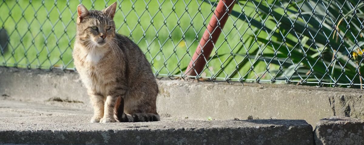 découvrez la décompression vertébrale, une technique innovante pour soulager les douleurs dorsales et améliorer la santé de votre colonne vertébrale. explorez ses avantages, ses méthodes et comment elle peut transformer votre bien-être.