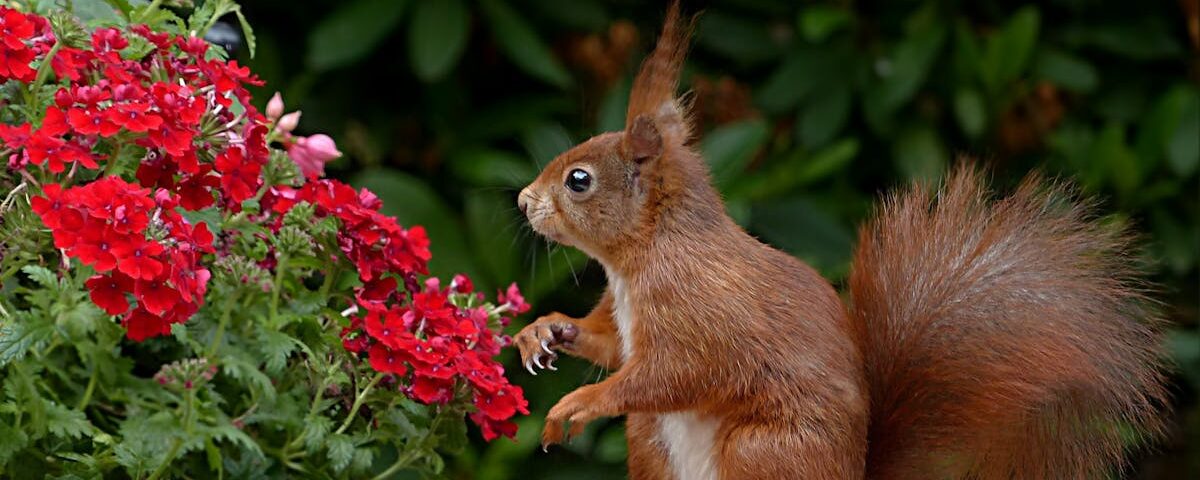 découvrez la décompression vertébrale, une technique innovante pour soulager les douleurs dorsales et améliorer la mobilité. explorez les bienfaits de cette méthode non invasive pour retrouver le bien-être et la qualité de vie.