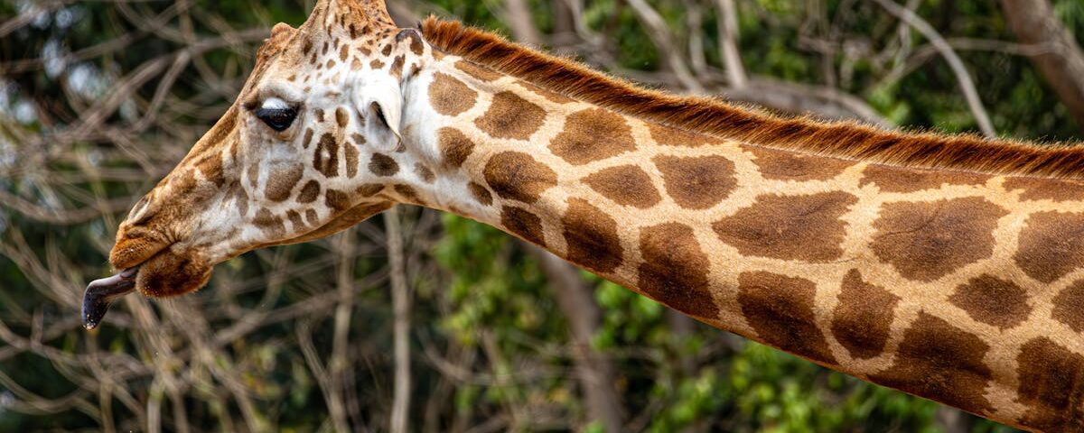 découvrez les bienfaits de la décompression vertébrale, une méthode innovante pour soulager les douleurs dorsales, améliorer la posture et favoriser la régénération des disques intervertébraux. apprenez comment cette technique peut transformer votre qualité de vie.