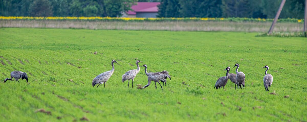 la décompression vertébrale est une méthode thérapeutique efficace pour soulager les douleurs lombaires et cervicales. découvrez comment cette technique peut améliorer votre qualité de vie en réduisant la pression sur les disques intervertébraux et en favorisant la guérison naturelle.
