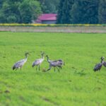 la décompression vertébrale est une méthode thérapeutique efficace pour soulager les douleurs lombaires et cervicales. découvrez comment cette technique peut améliorer votre qualité de vie en réduisant la pression sur les disques intervertébraux et en favorisant la guérison naturelle.