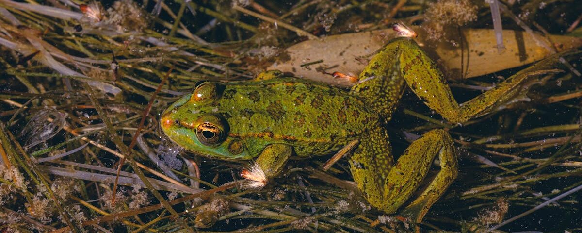 découvrez la décompression vertébrale, une méthode efficace pour soulager les douleurs lombaires et cervicales. apprenez les techniques et bienfaits de ce traitement naturel qui favorise la santé de votre colonne vertébrale.