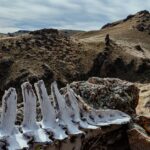 découvrez vertebral technologies, une entreprise innovante spécialisée dans le développement de solutions avancées pour la santé de la colonne vertébrale. explorez nos technologies de pointe pour améliorer la qualité de vie et le bien-être des patients.