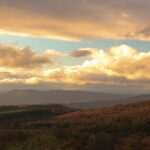 découvrez l'art de la décompression, un processus essentiel pour relâcher les tensions accumulées et revitaliser votre esprit et votre corps. explorez des techniques efficaces pour améliorer votre bien-être au quotidien.