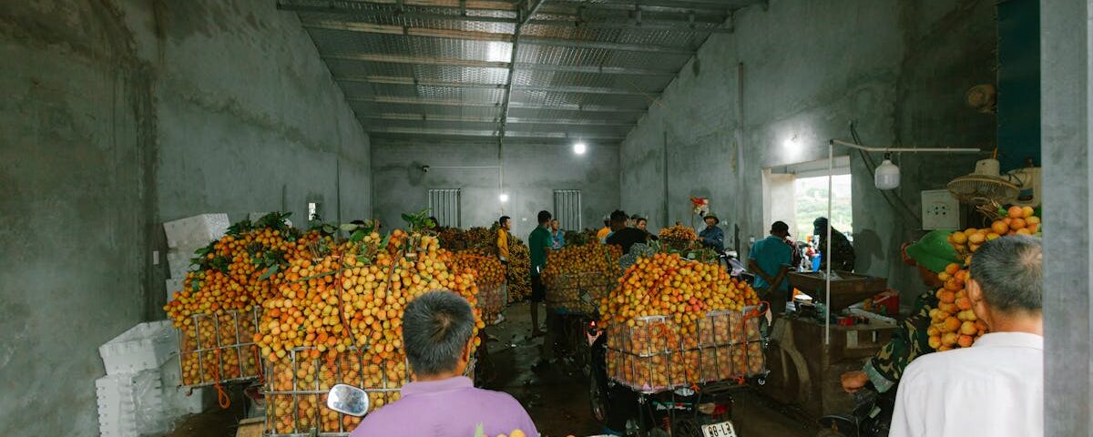 découvrez les technologies de décompression, des solutions innovantes conçues pour améliorer le bien-être et la santé. apprenez comment ces méthodes peuvent soulager les douleurs, favoriser la relaxation et transformer votre qualité de vie grâce à des techniques modernes et efficaces.