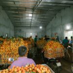 découvrez les technologies de décompression, des solutions innovantes conçues pour améliorer le bien-être et la santé. apprenez comment ces méthodes peuvent soulager les douleurs, favoriser la relaxation et transformer votre qualité de vie grâce à des techniques modernes et efficaces.