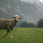 découvrez les bienfaits de la décompression vertébrale, une méthode douce et efficace pour soulager les douleurs lombaires et cervicales. améliorez votre qualité de vie grâce à des techniques adaptées à vos besoins et retrouvez mobilité et confort au quotidien.