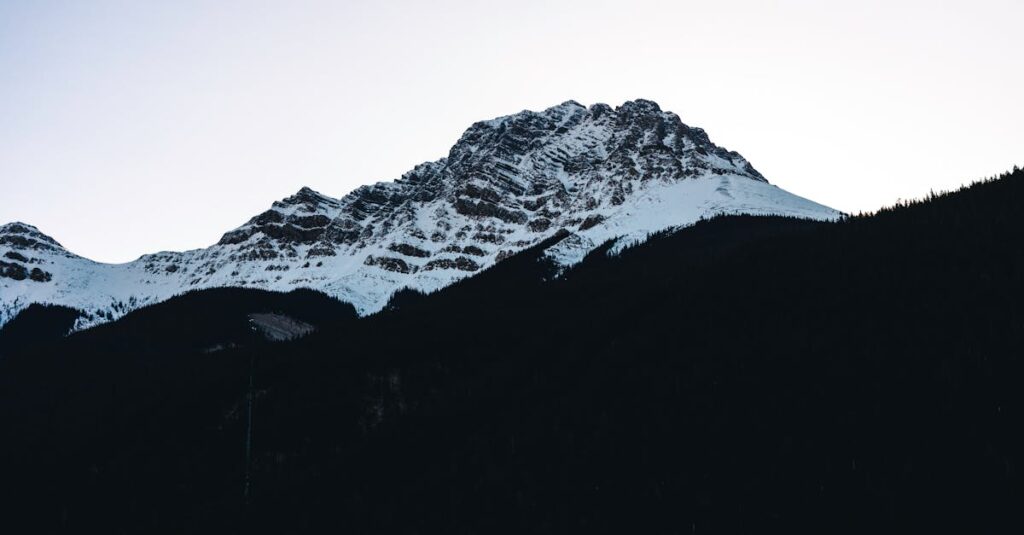 découvrez la décompression neuro-spinale, une technique innovante de traitement visant à soulager les douleurs lombaires et cervicales en réduisant la pression sur les nerfs et les disques intervertébraux. améliorez votre bien-être et votre qualité de vie grâce à cette approche non invasive.