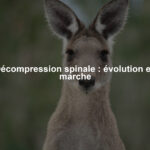 Décompression spinale : évolution en marche