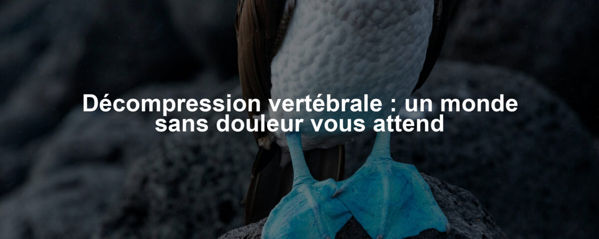 Décompression vertébrale : un monde sans douleur vous attend
