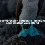 Décompression vertébrale : un monde sans douleur vous attend