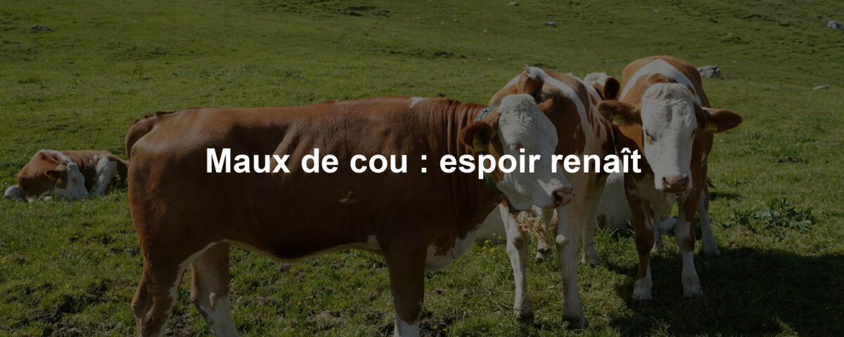 Maux de cou : espoir renaît
