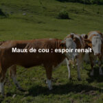 Maux de cou : espoir renaît