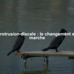 Protrusion discale : le changement en marche