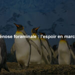 Sténose foraminale : l'espoir en marche