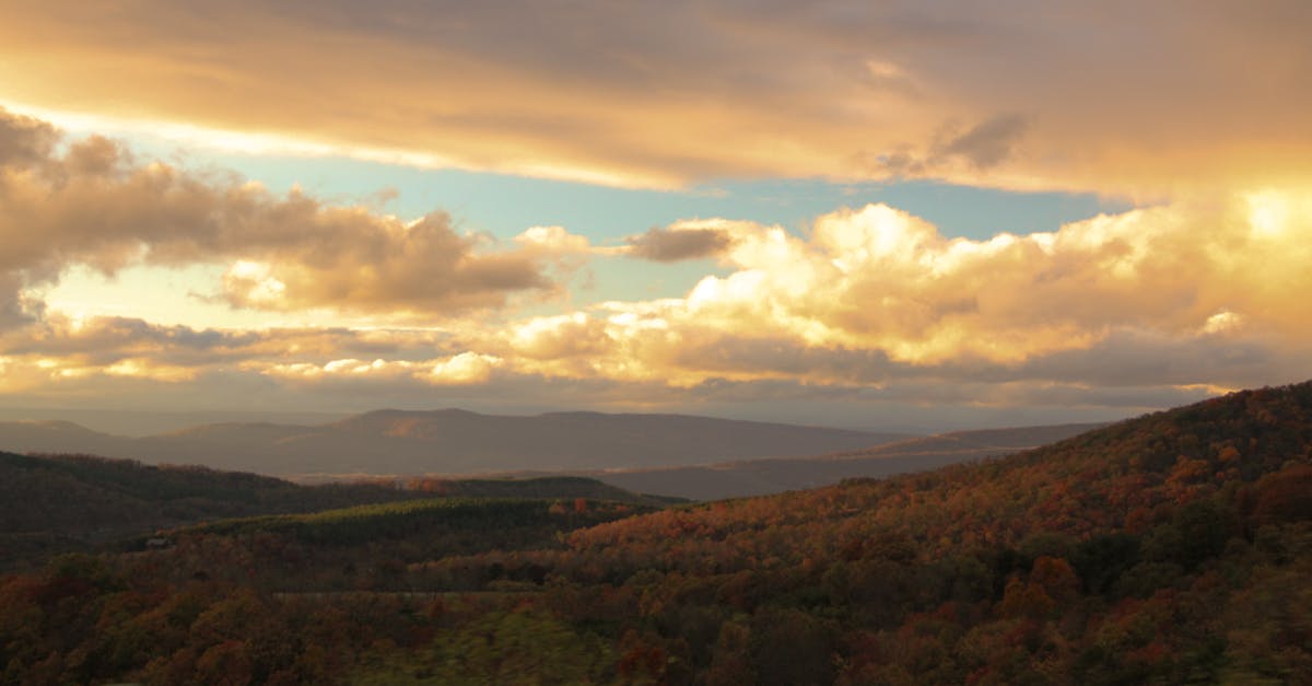 découvrez les techniques de décompression cervicale pour soulager les douleurs au cou et améliorer la mobilité. informations sur les traitements efficaces et conseils pratiques.