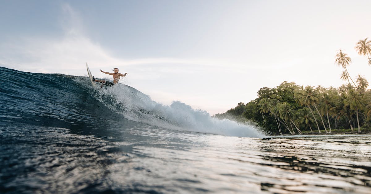 découvrez une variété d'activités de plein air pour tous les âges et tous les niveaux, parfaites pour profiter de la nature et rester actif.