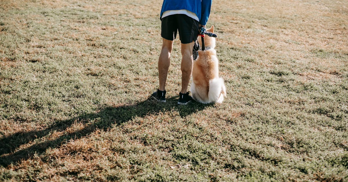 découvrez des exercices doux adaptés à tous pour améliorer votre bien-être, renforcer votre corps en douceur et favoriser la relaxation au quotidien.