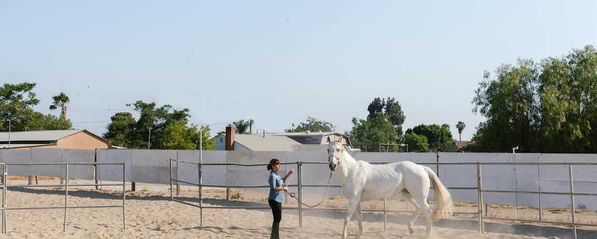 découvrez des exercices doux adaptés à tous pour améliorer votre bien-être en douceur et sans effort excessif.